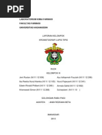 Download Kromatografi Lapis Tipis Klt by Winna Nursilawati SN229322652 doc pdf