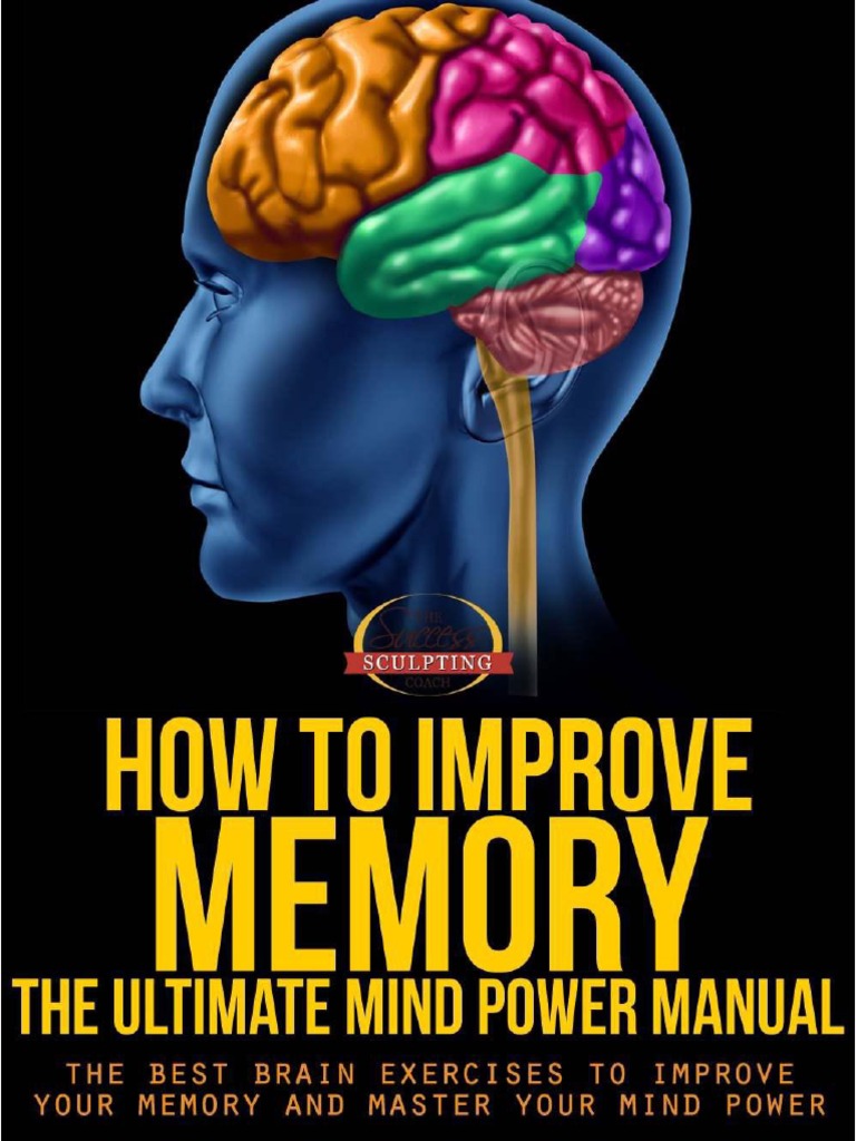 How To Improve Memory | PDF | Neurotransmitter | Human Brain