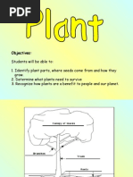 Download Preschool PPS 211-Plant and Shadow by norazak SN2293268 doc pdf