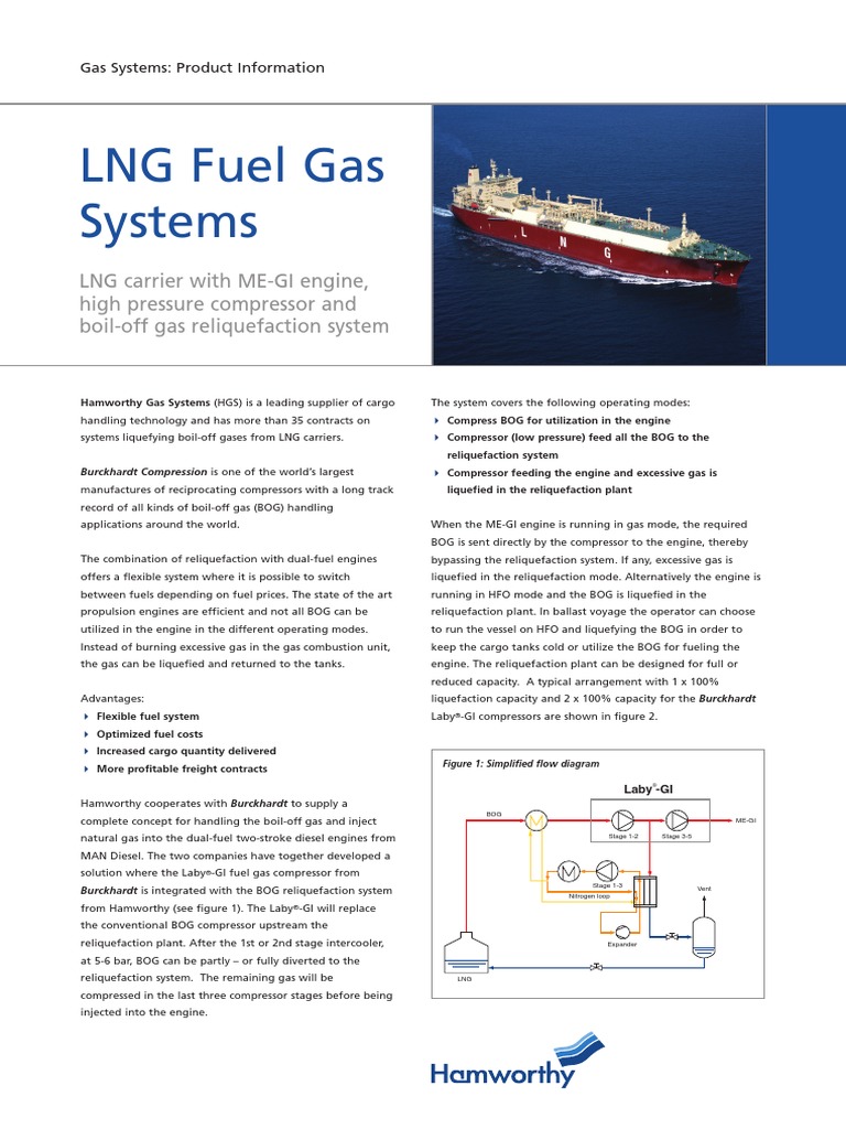 LNG Fuel Gas Systems PDF Natural Gas Gases