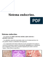 Sistema Endocrino