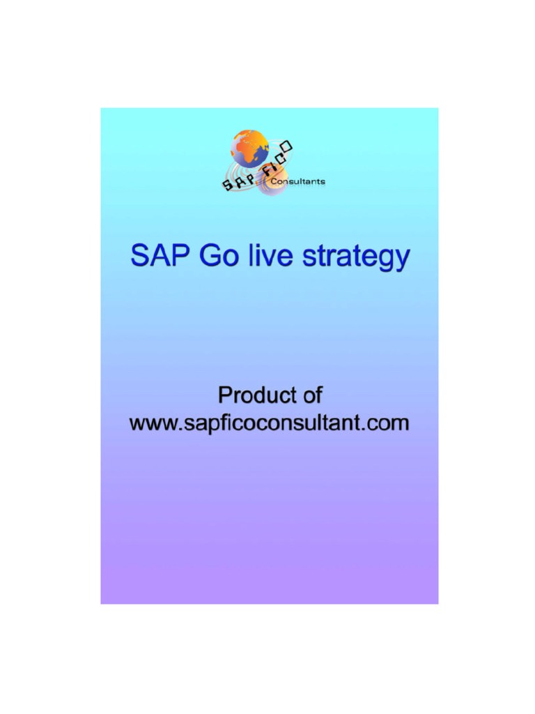 SAP Go Live Strategy Debits And Credits Accounting