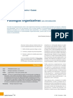 Patologias Organizativas (Javier Fernandez Aguado)