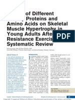 Effects of Different Dietary Proteins and Amino Acids On Skeletal Muscle Hypertrophy in Young Adults After Resistance Exercise