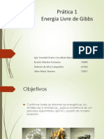 Gibbs Free Energy Principle 1: Confirming Spontaneous Processes