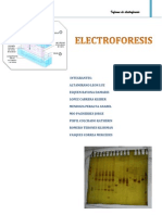 Informe de electroforesis de ADN