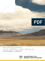 Los altos de Arica Precordillera y altiplano - Ruta 54