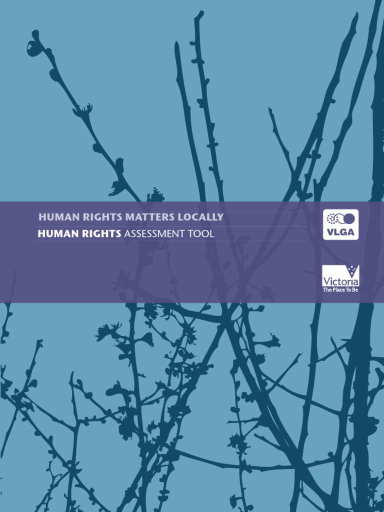 Human Rights Assessment Framework | PDF | Human Rights | Governance