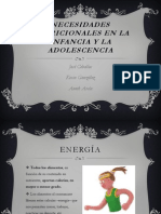 Necesidades Nutricionales en La Infancia y La Adolescencia