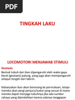Download Tingkah Laku ikan by agung24864 SN229430887 doc pdf