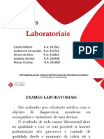Exames Laboratoriais - Grupo b