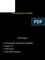 Toxoplasma Gondii