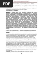 Download Articulo de Sachapapa by jessicabendezuccanto SN229478817 doc pdf