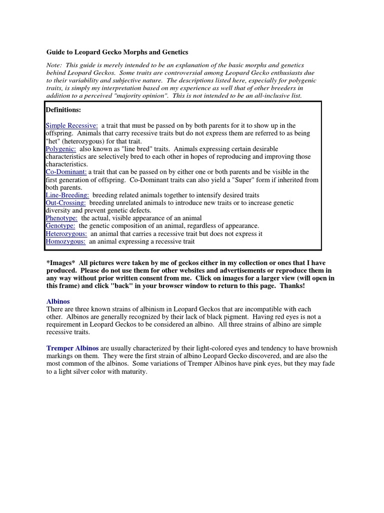 Leopard Gecko Morphs and Genetics Guide | PDF | Polymorphism (Biology ...