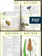 Medicinal Plants