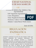 Regulacion Enzimatica 