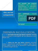 Eul Social Si Stereotipurile