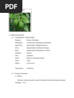 Download Citrus Hystrix Roz by Roza Natulchair SN229513499 doc pdf