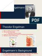 Theodore Engelmann 2