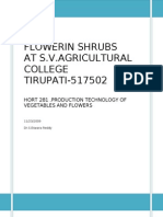 Flowerin Shrubs at S.V.Agricultural College TIRUPATI-517502: Hort 281 .Production Technology of Vegetables and Flowers