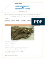 Practical Anatomy of Respiratory System