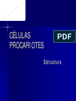 1-1 Celulas Procariontes