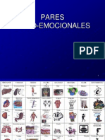 5 Pares Psicoemocionales. Columna y Pares Nuevos