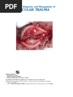 Download Clinical Diagnosis and Management of Ocular Trauma by Matas Pierotti SN229579333 doc pdf