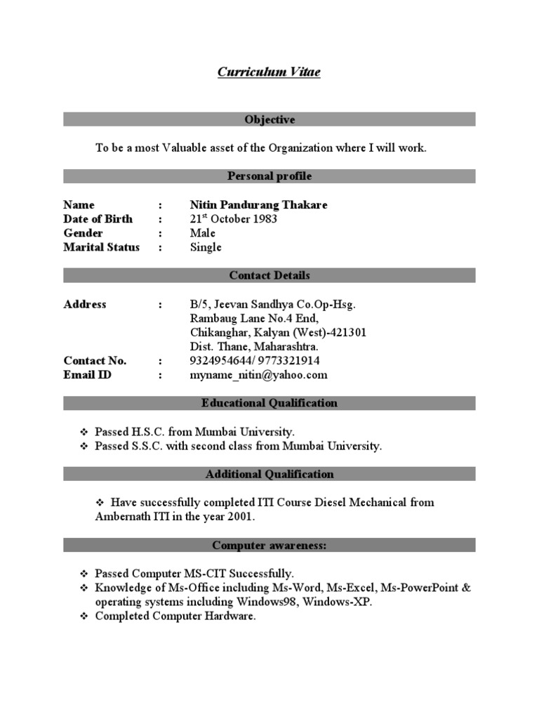 Nitin Thakare's Professional CV | PDF | Information Technology | Software