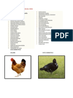 Lista de Aves Propias Del Peru