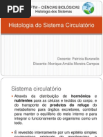 Histologia Do Sistema Circulatório