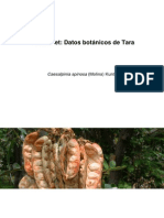 Hoja-Botánica-Tara.pdf