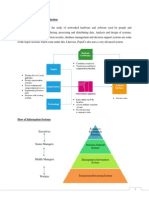 Introduction to Information Systems at PepsiCo