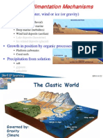 Depositional Environments 