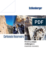 carbonate reservoirs