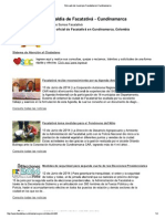 Sitio Web Del Municipio Facatativá en Cundinamarca