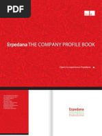 Download Erpedana Company Profile 2009 by Erpedana SN22961864 doc pdf