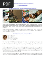 Download Testimoni Gold Gamat - Jelly Gamat by Zainal Arifin SN22961933 doc pdf