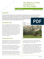 The Influence of Soils and Species on Tree Root Depth