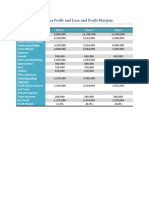 Pro Forma Profit and Loss Statement