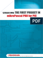 1st Project Pascal Pro Pic v100