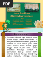 Download Jamur Enokitake Fix by Ali Mahbub Syi SN229634934 doc pdf