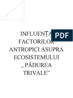 Influenta Factorilor Antropici Asupra Ecosistemului "Padurea Trivale"