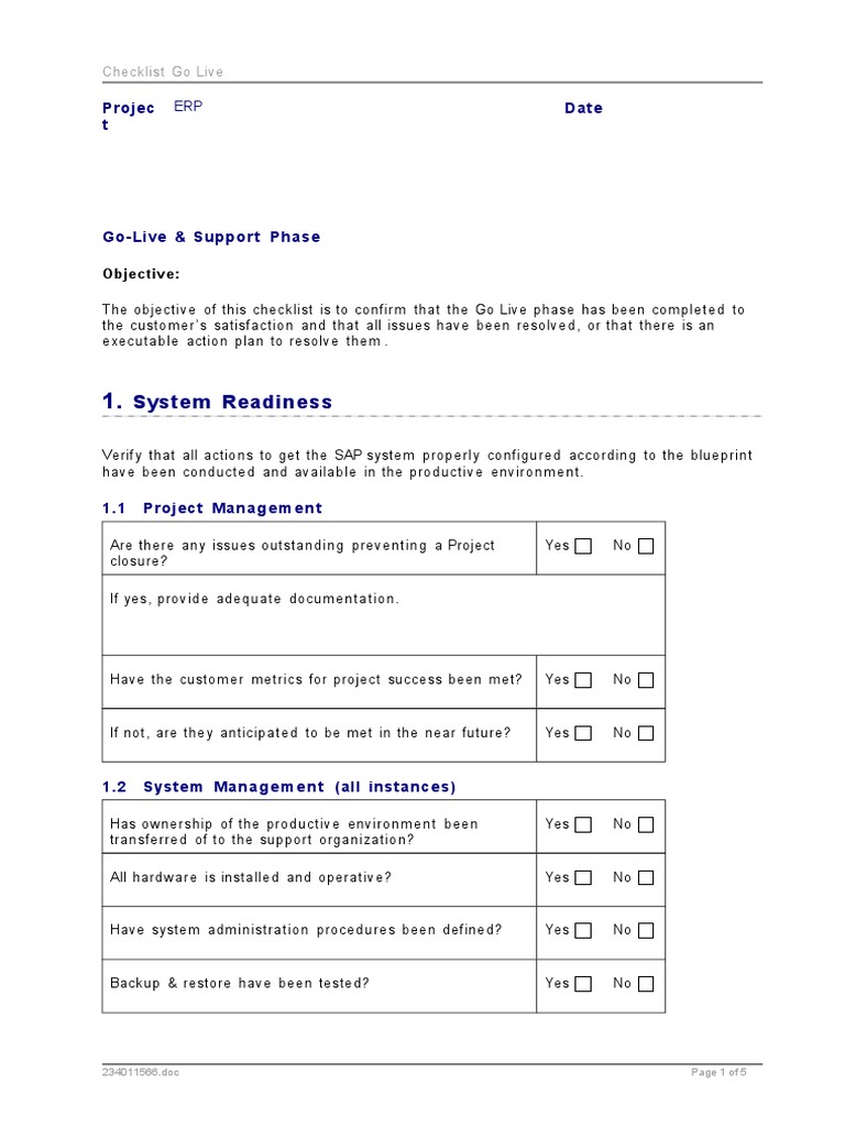 Checklist Go Live Phase Pdf Information Technology Management