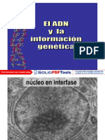 El Adn y La Información Genética