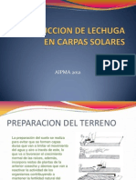 PRODUCCION DE LECHUGA EN CARPAS SOLARES.ppt