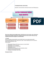 Sistem Peredaran Darah Pada Manusia