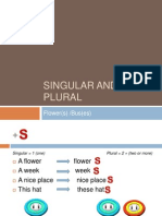 Singular and Plural: Flower(s) /bus (Es)