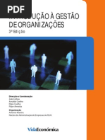 Introdução Gestão Organizações