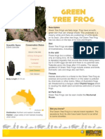 Green Tree Frog Fact Sheet